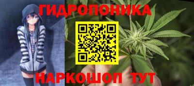 ГАЛЛЮЦИНОГЕННЫЕ ГРИБЫ Партизанск