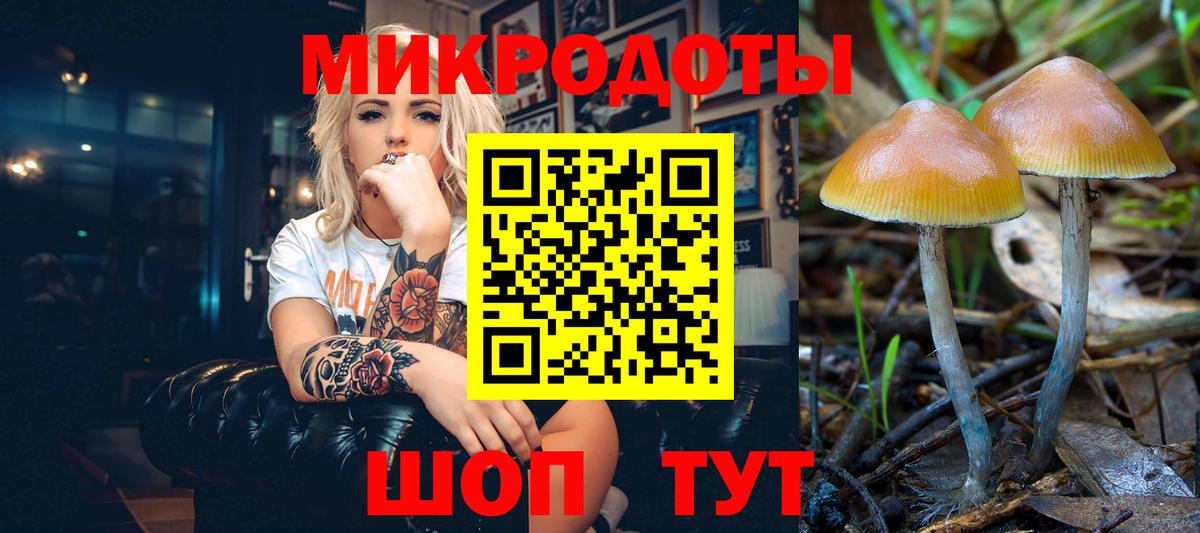 Псилоцибиновые грибы Magic Shrooms  Вход с VPN  Псилоцибиновые грибы GOLDEN TEACHER  Родники 